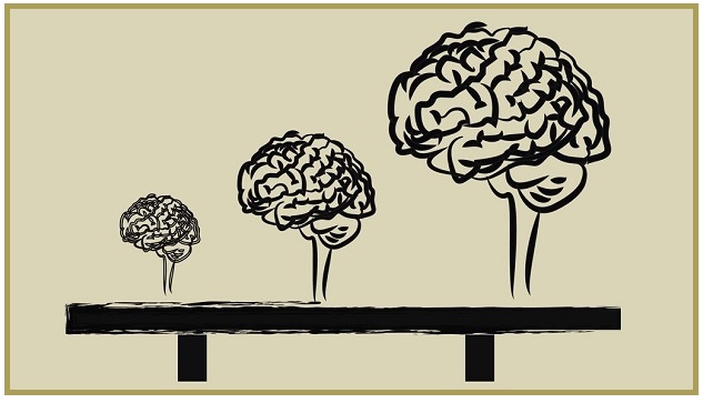 Como o cérebro evolui da infância ao envelhecimento